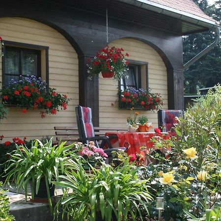 Ferienwohnung Hesse Am Wachberg Saupsdorf Luaran gambar