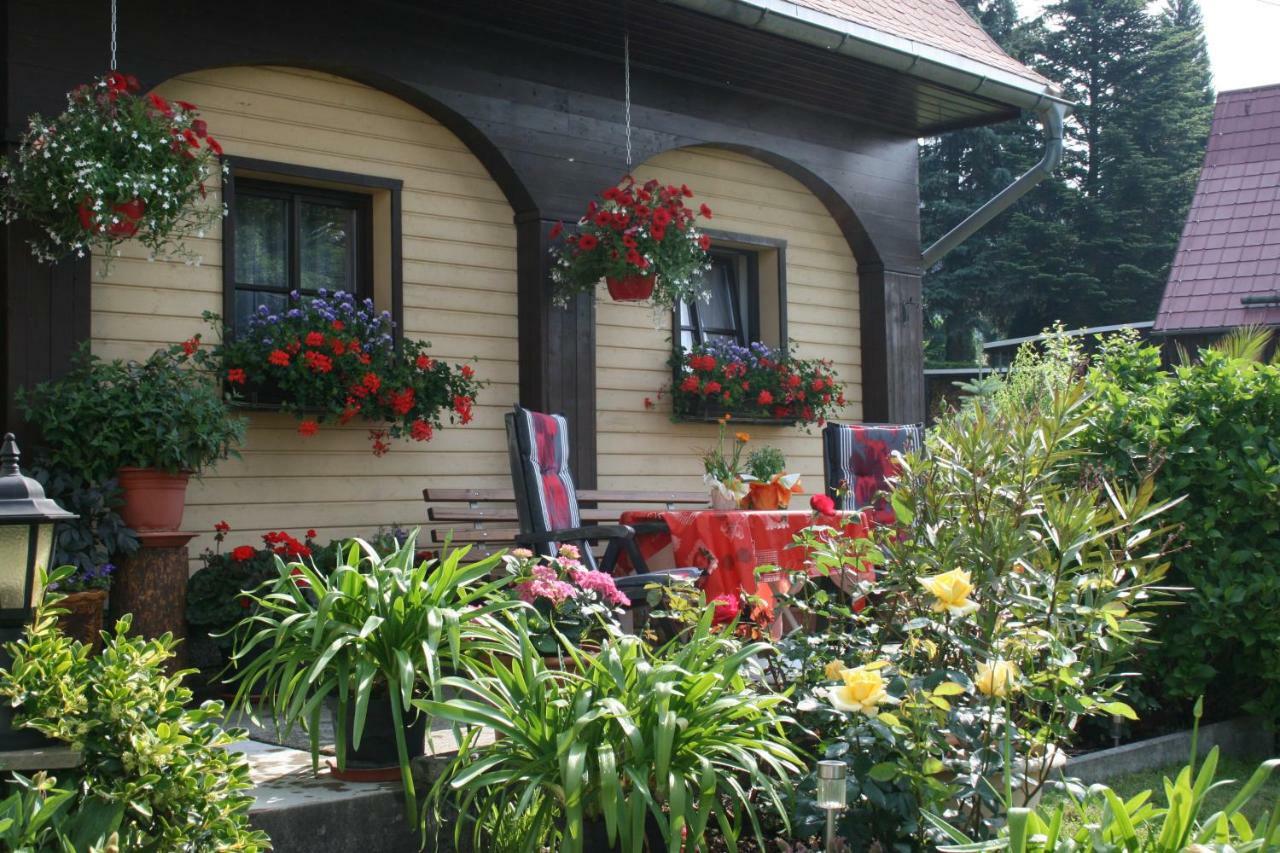 Ferienwohnung Hesse Am Wachberg Saupsdorf Luaran gambar